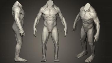 3D model Body Sculpt 12 (STL)